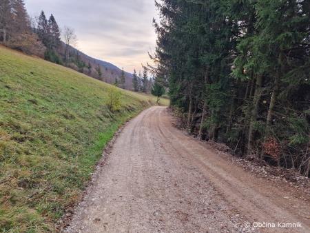 Sanacija gozdnih cest (1)